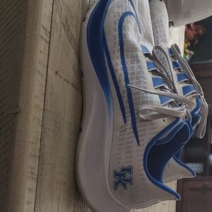 Nike Pegasus Kentucky Wildcat Shoes
